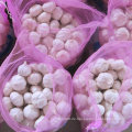 New Crop Chinesisch frischen weißen Knoblauch in Jinxiang